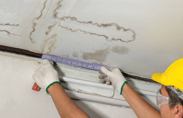 Reliable Water Damage Repair contractor in Pierce, TX by Hirex Water Damage